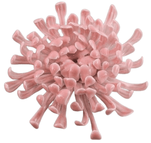 Ai Weiwei, ‘Chrysanthemum (Pink)’, 17-08-2015, Sculpture, Porcelain, Royal Academy of Arts, Numbered