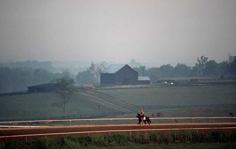 Alain Le Garsmeur, ‘Early Morning Ride’, 2010, Print, Archival Pigment Print, null, 