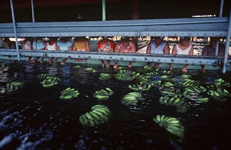 Alain Le Garsmeur, ‘Isletas Bananas’, 2022, Print, Archival Pigment Print, null, 
