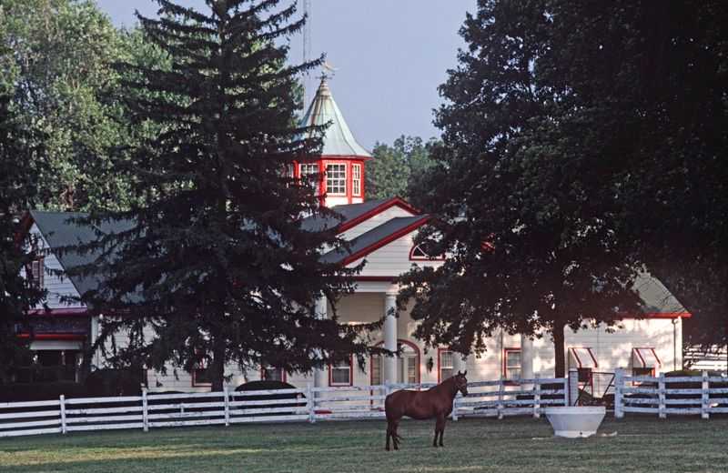 Alain Le Garsmeur, ‘Kentucky Thoroughbred’, 1984, Print, Archival Pigment Print, null, 