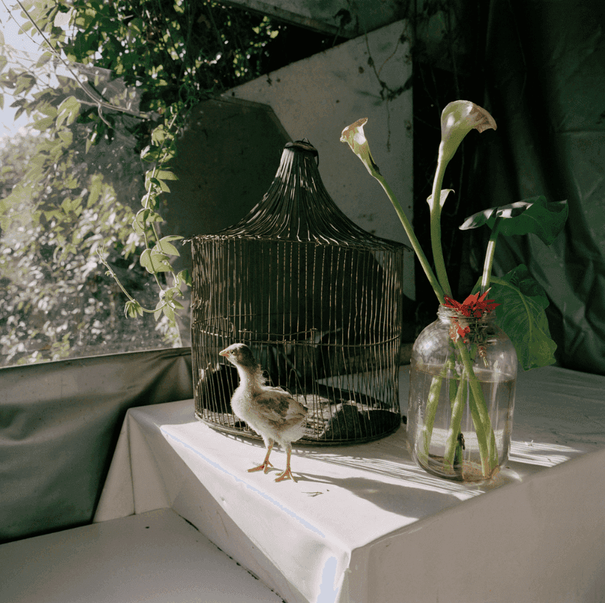 Alec Soth, ‘Bogota, Colombia ’, 2003, Print, Archival pigment print, null, 