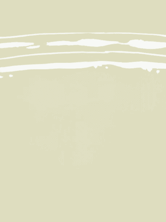 Alex Katz, ‘Daytona Beach I’, 1996, Print, Aquatint in warm gray, null, Numbered