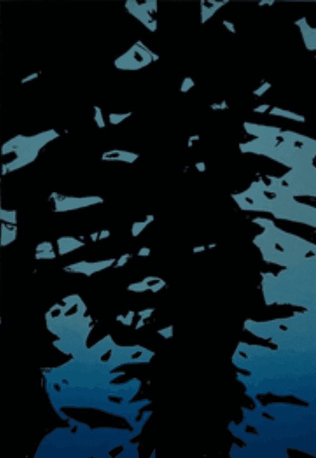 Alex Katz, ‘Reflection I’, 2010, Print, Aquatint with photoengraving in colors on wove paper, null, 