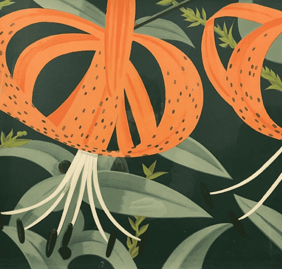 Alex Katz, ‘Superb Lilies’, 1972, Print, Lithograph, null, Numbered