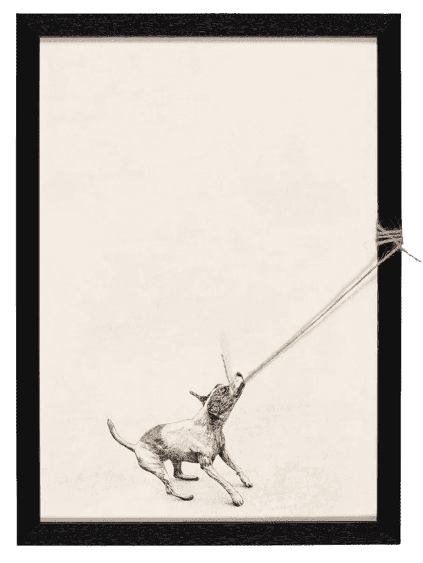 Andrew Scott, ‘Cooper’, 2025, Print, Print on canvas with string, Stowe Gallery, Framed