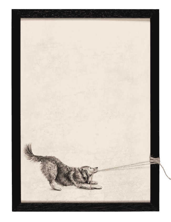 Andrew Scott, ‘Honey’, 2025, Print, Print on canvas with string, Stowe Gallery, Framed