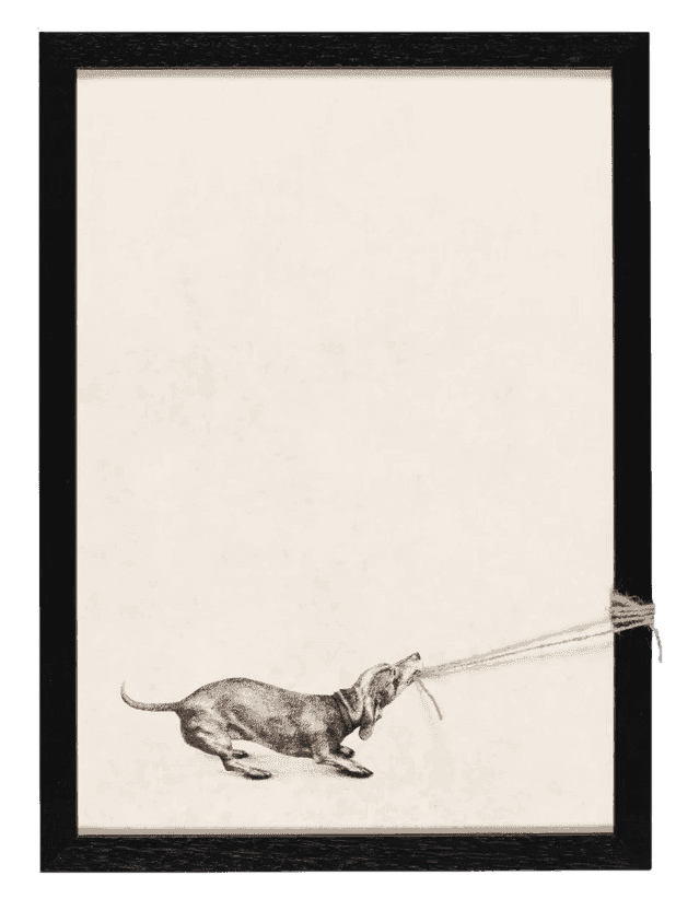 Andrew Scott, ‘Jensen’, 2025, Print, Print on canvas with string, Stowe Gallery, Framed