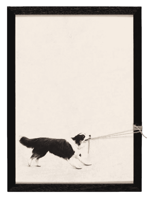 Andrew Scott, ‘Layla’, 2025, Print, Print on canvas with string, Stowe Gallery, Framed