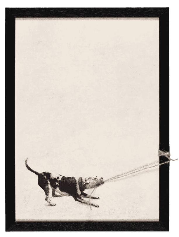 Andrew Scott, ‘Tyson’, 2025, Print, Print on canvas with string, Stowe Gallery, Framed