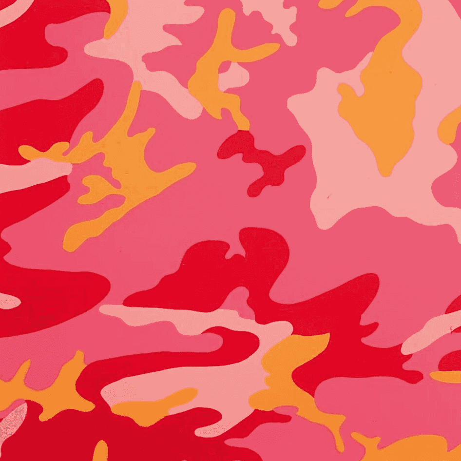 Andy Warhol, ‘Camouflage (FS II.408)’, 1987, Print, Screenprint on Lenox Museum Board, Self Published, Numbered