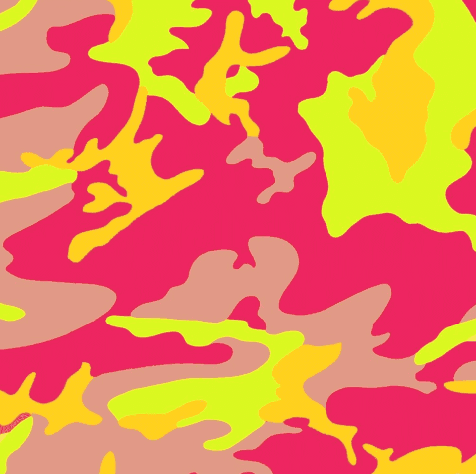 Andy Warhol, ‘Camouflage (FS II.409)’, 1987, Print, Screenprint on Lenox Museum Board, Self Published, Numbered