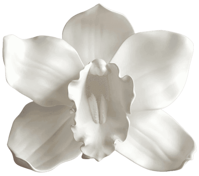 CJ Hendry, ‘Eve’, 19-05-2022, Sculpture, Resin with a painted white finish, Self-released, Numbered