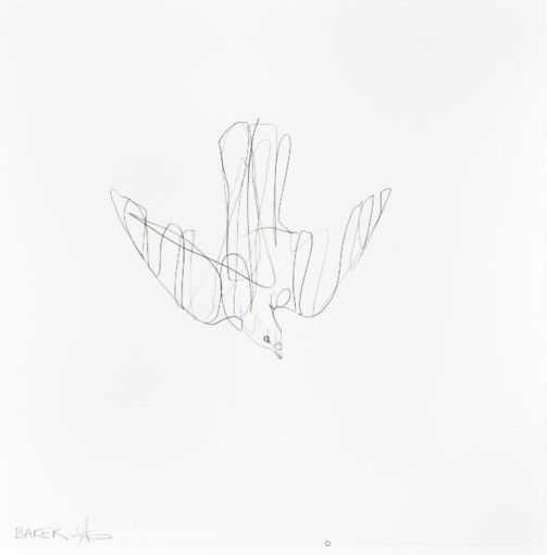 Charming Baker, ‘Dove Sketch ’, 2014, Print, Graphite on paper, null, 