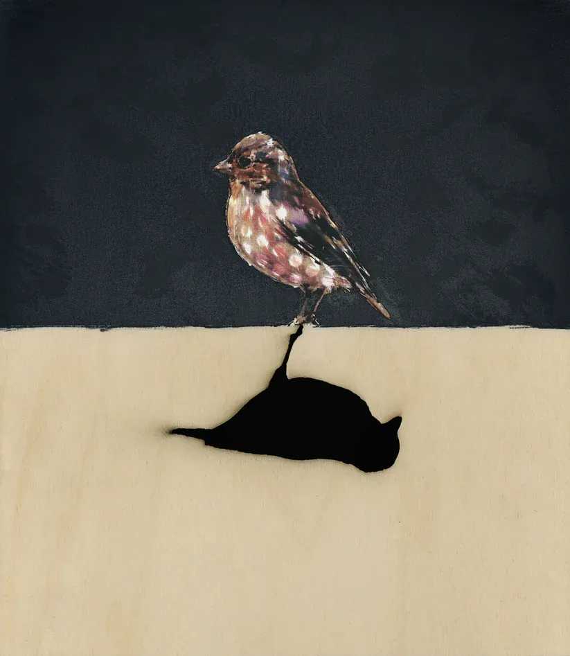 Charming Baker, ‘Small Wonders - Chaffinch’, 2010, Print, 7 Colour Screenprint with Varnish Overlay and Lasercut Detail on 6mm Birch Plywood, null, Numbered