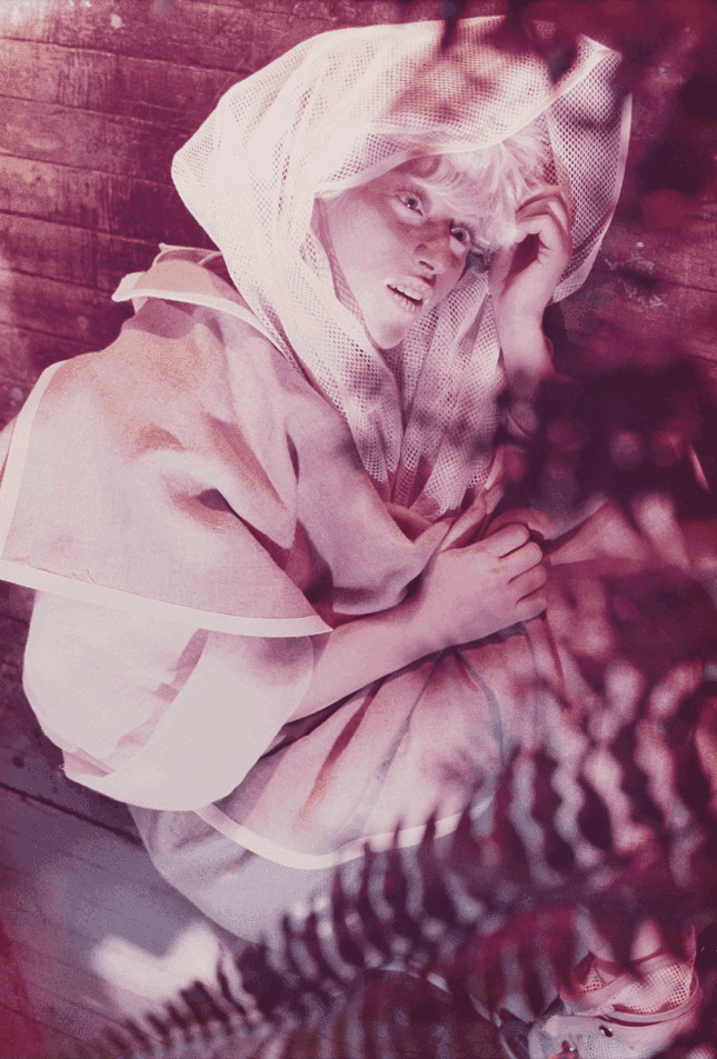 Cindy Sherman, ‘#130A’, 1983, Photography, C-print, null, 
