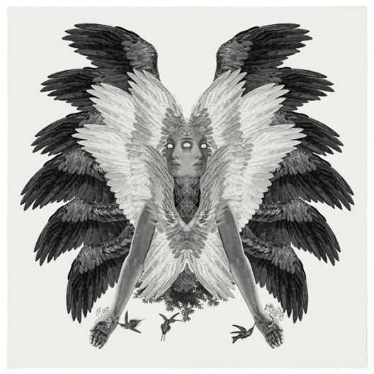 Dan Hillier, ‘Collibri (Large)’, 2021, Print, Screenprint on 300gsm Somerset Soft White Textured Paper, null, Numbered, Framed