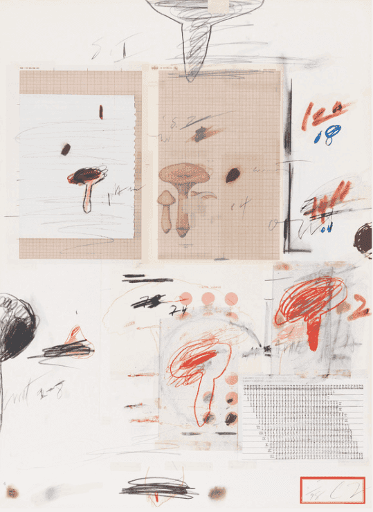 Cy Twombly, ‘Natural History Part I, Mushrooms Plate IV’, 1974, Print, Lithograph, grano-lithograph, collotype, photochrome, paper collage and crayon on Rives Couronne paper, null, Numbered
