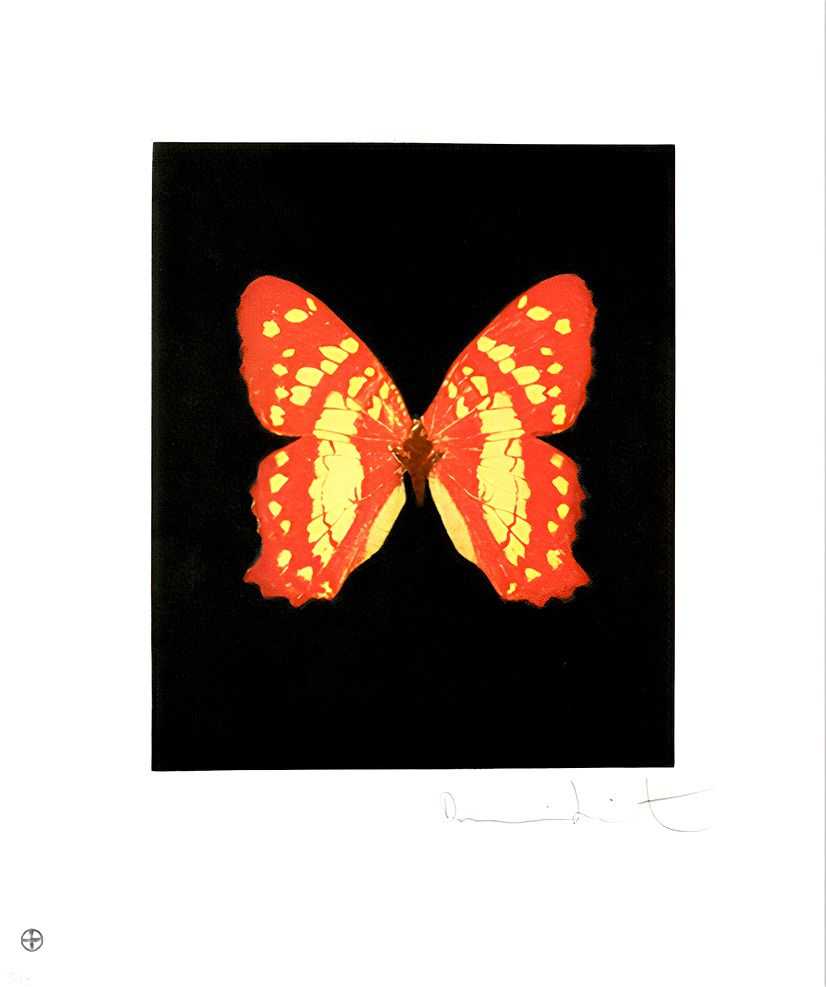 Damien Hirst, ‘Emerge’, 04-12-2009, Print, Etching and aquatint in colours, on wove paper, with full margins, Other Criteria, Numbered