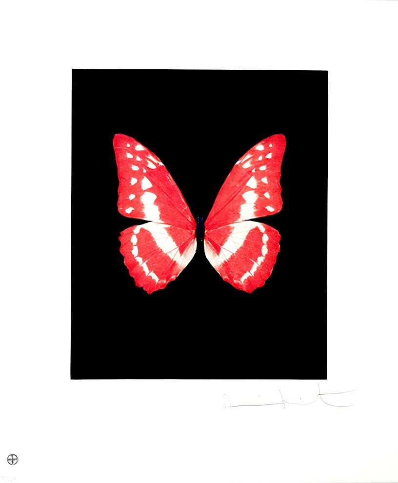 Damien Hirst, ‘Eternal Rest’, 04-12-2009, Print, Etching and aquatint in colours, on wove paper, with full margins, Other Criteria, Numbered