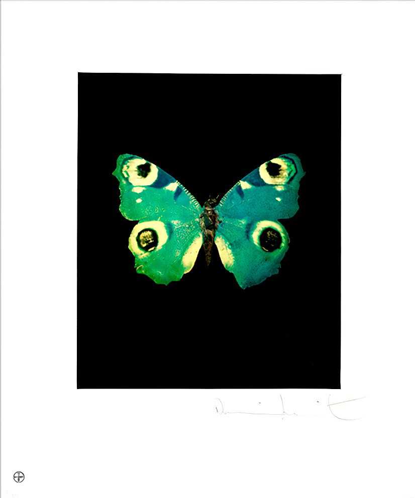 Damien Hirst, ‘Fate’, 04-12-2009, Print, Etching and aquatint in colours, on wove paper, with full margins, Other Criteria, Numbered