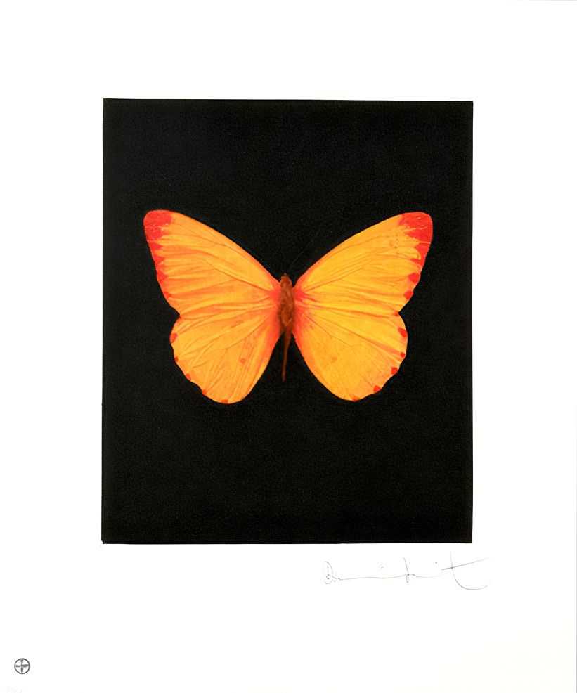 Damien Hirst, ‘Hope’, 04-12-2009, Print, Etching and aquatint in colours, on wove paper, with full margins, Other Criteria, Numbered