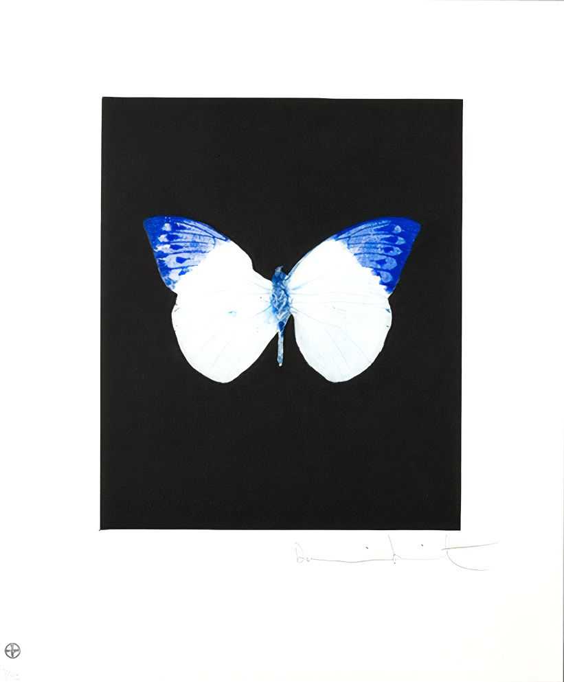 Damien Hirst, ‘Life’, 04-12-2009, Print, Etching and aquatint in colours, on wove paper, with full margins, Other Criteria, Numbered