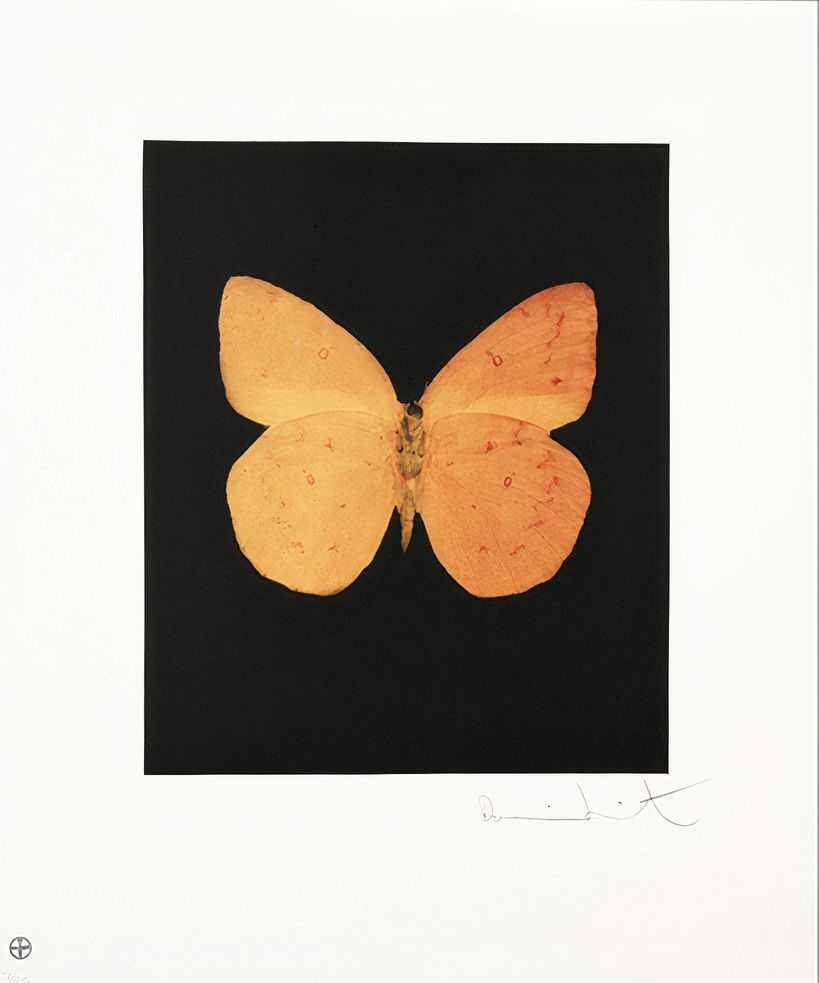 Damien Hirst, ‘Prosperity’, 04-12-2009, Print, Etching and aquatint in colours, on wove paper, with full margins, Other Criteria, Numbered