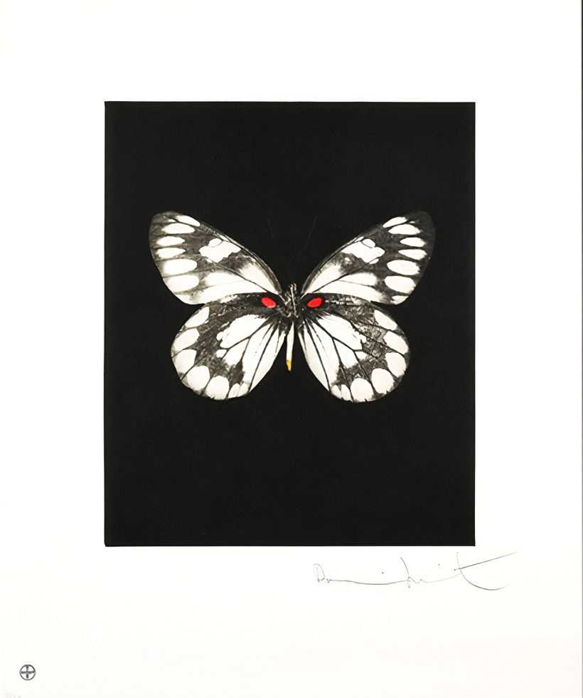 Damien Hirst, ‘Regeneration’, 04-12-2009, Print, Etching and aquatint in colours, on wove paper, with full margins, Other Criteria, Numbered