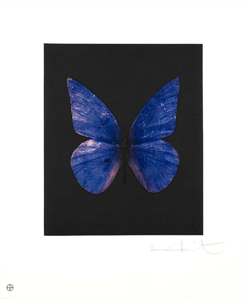 Damien Hirst, ‘Renewal’, 04-12-2009, Print, Etching and aquatint in colours, on wove paper, with full margins, Other Criteria, Numbered