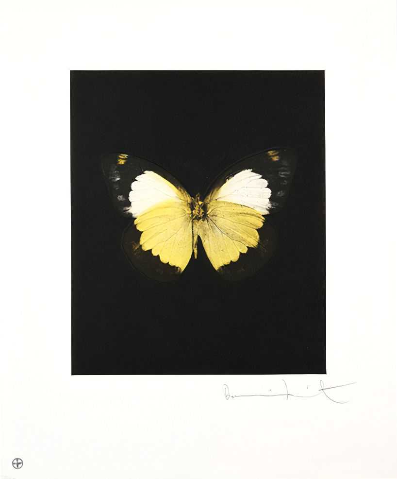 Damien Hirst, ‘Reveal’, 04-12-2009, Print, Etching and aquatint in colours, on wove paper, with full margins, Other Criteria, Numbered