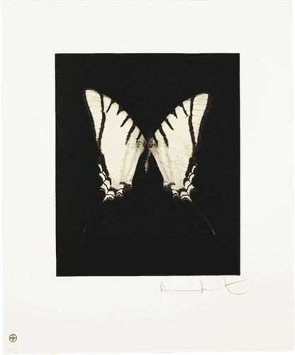 Damien Hirst, ‘Spirit’, 04-12-2009, Print, Etching and aquatint in colours, on wove paper, with full margins, Other Criteria, Numbered
