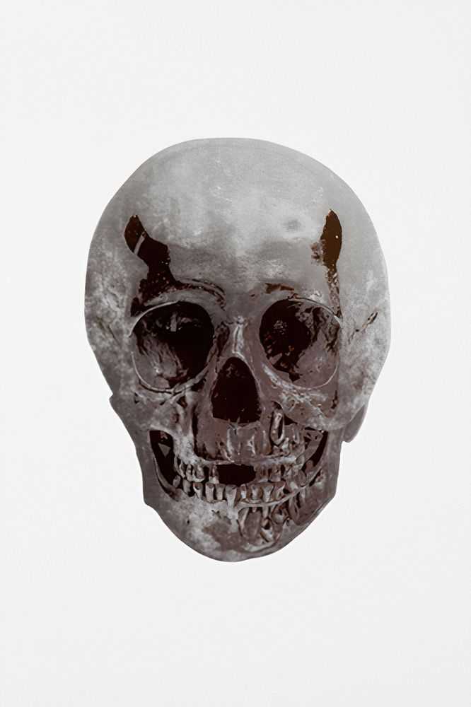 Damien Hirst, ‘The Dead (Silver Gloss Gunmetal Skull)’, 10-10-2009, Print, 2 colour foil block on 300gsm Arches 88 archival paper, Other Criteria, Numbered