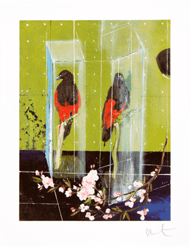 Damien Hirst, ‘Two Parrots (Small)’, 14-07-2012, Print, Lithograph in colours on wove paper, Other Criteria, Numbered