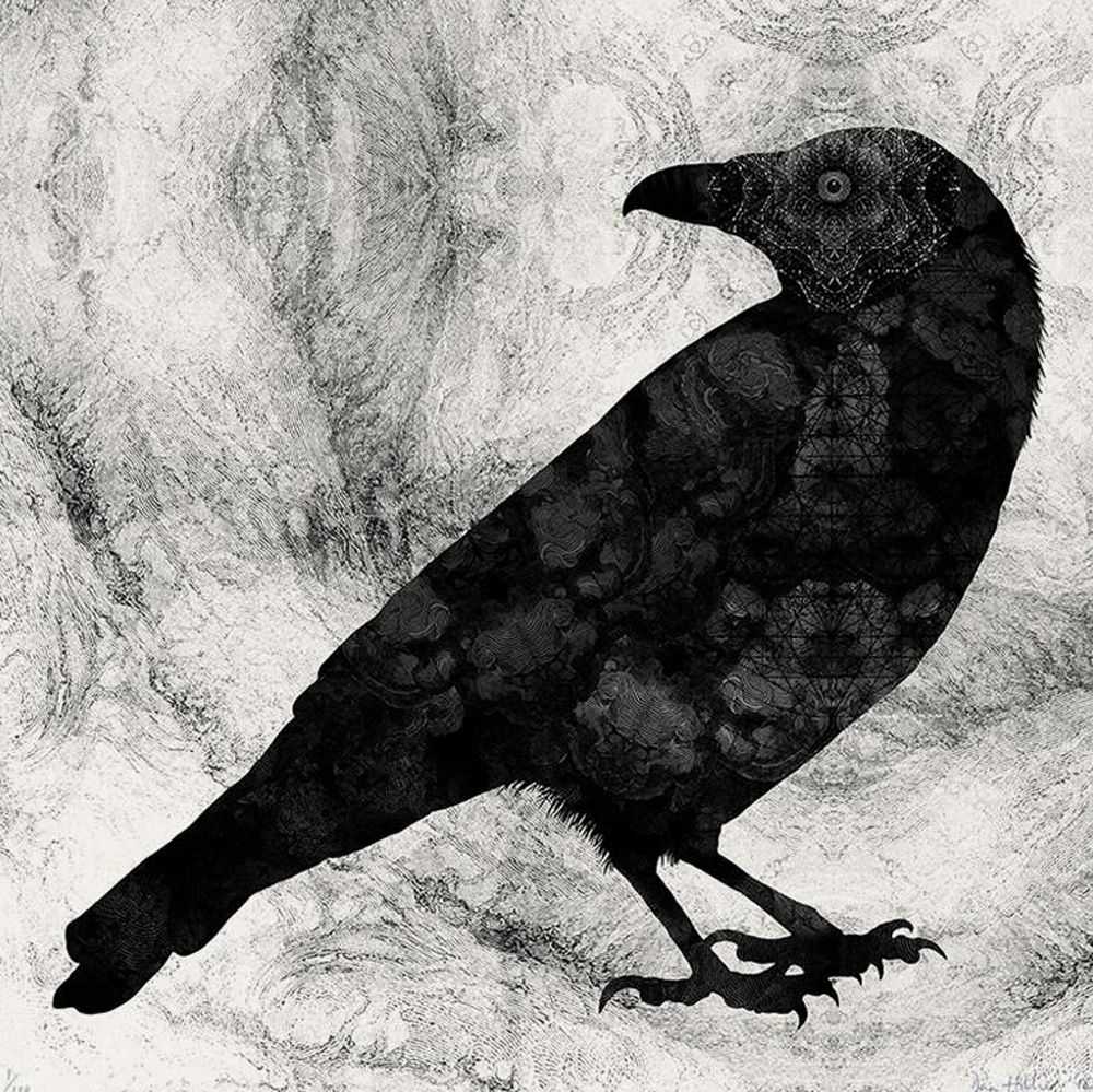 Dan Hillier, ‘Raven’, 2020, Print, Hand-pulled screen print on 300gsm Somerset soft-white smooth paper, null, 