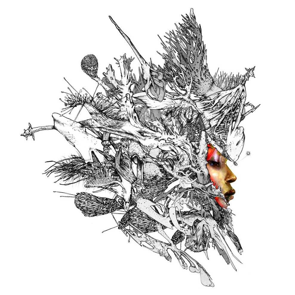 David Choe, ‘Swamp Girl (Ash)’, 03-06-2011, Print, Pigment print on paper, Trapeze Editions, Numbered