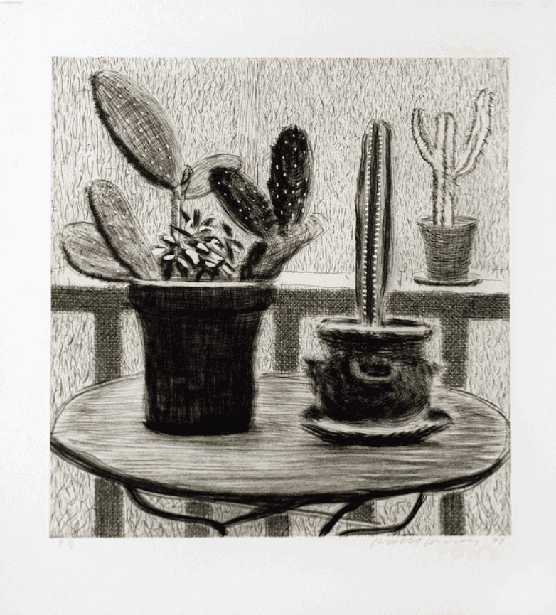 David Hockney, ‘Cacti On Terrace’, 1998, Print, Etching in sepia on wove paper, null, Numbered
