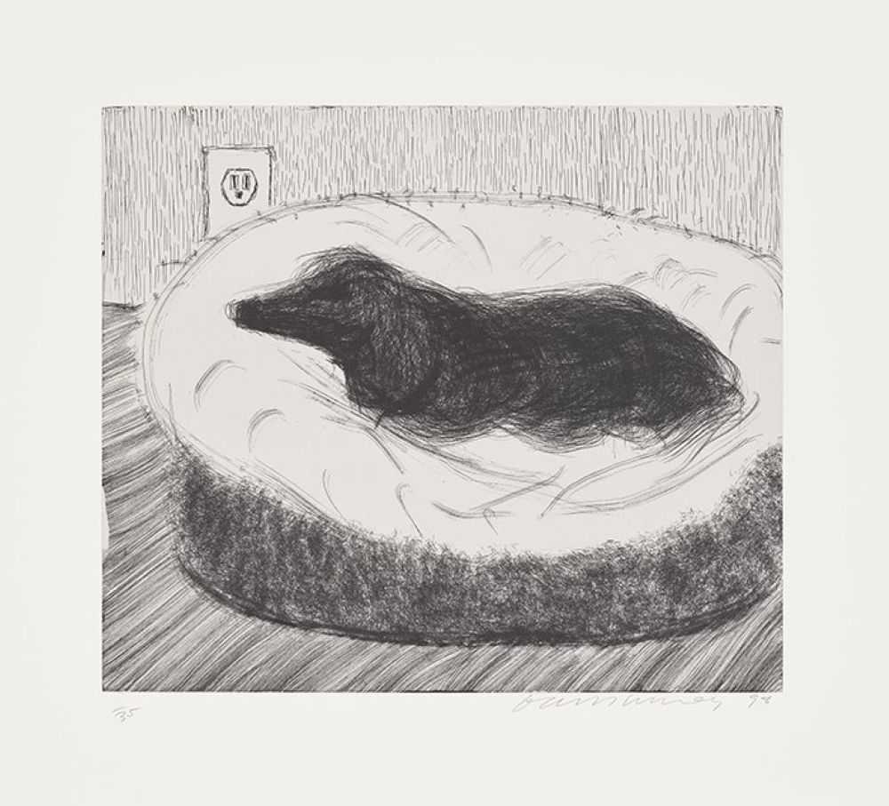 David Hockney, ‘Dog Etching No. 5’, 1998, Print, Etching printed on Somerset paper, null, Numbered