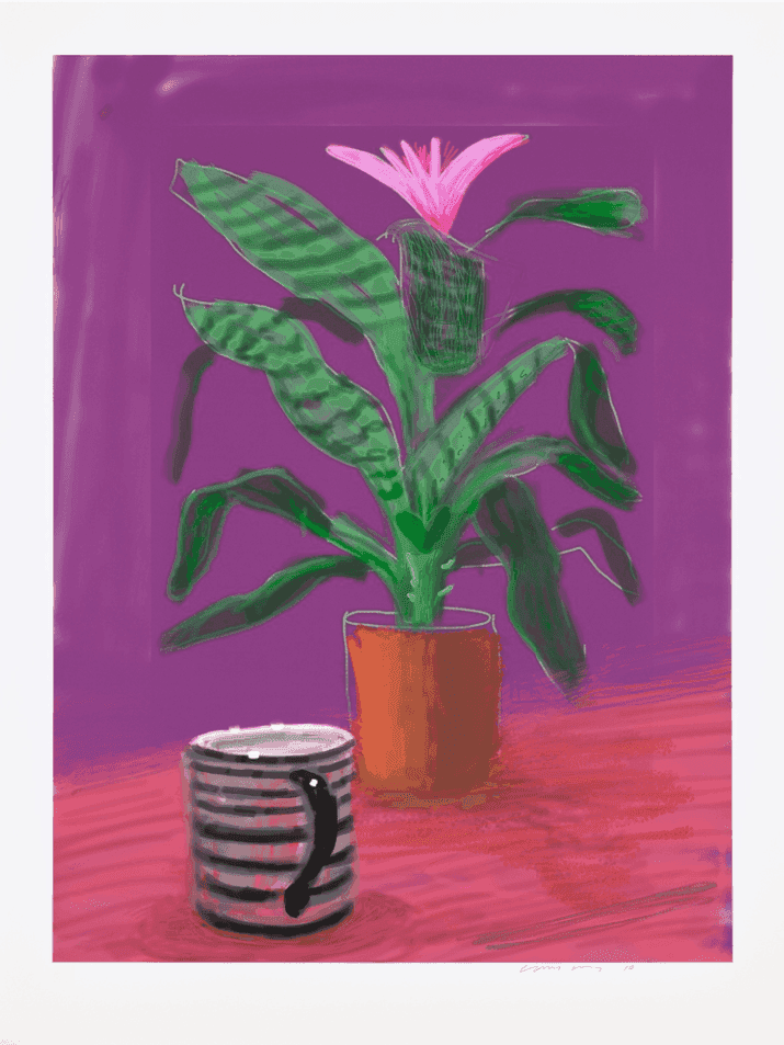 David Hockney, ‘Untitled No.224’, 2010, Print, iPad drawing in colours, printed on wove paper, with full margins, null, Numbered