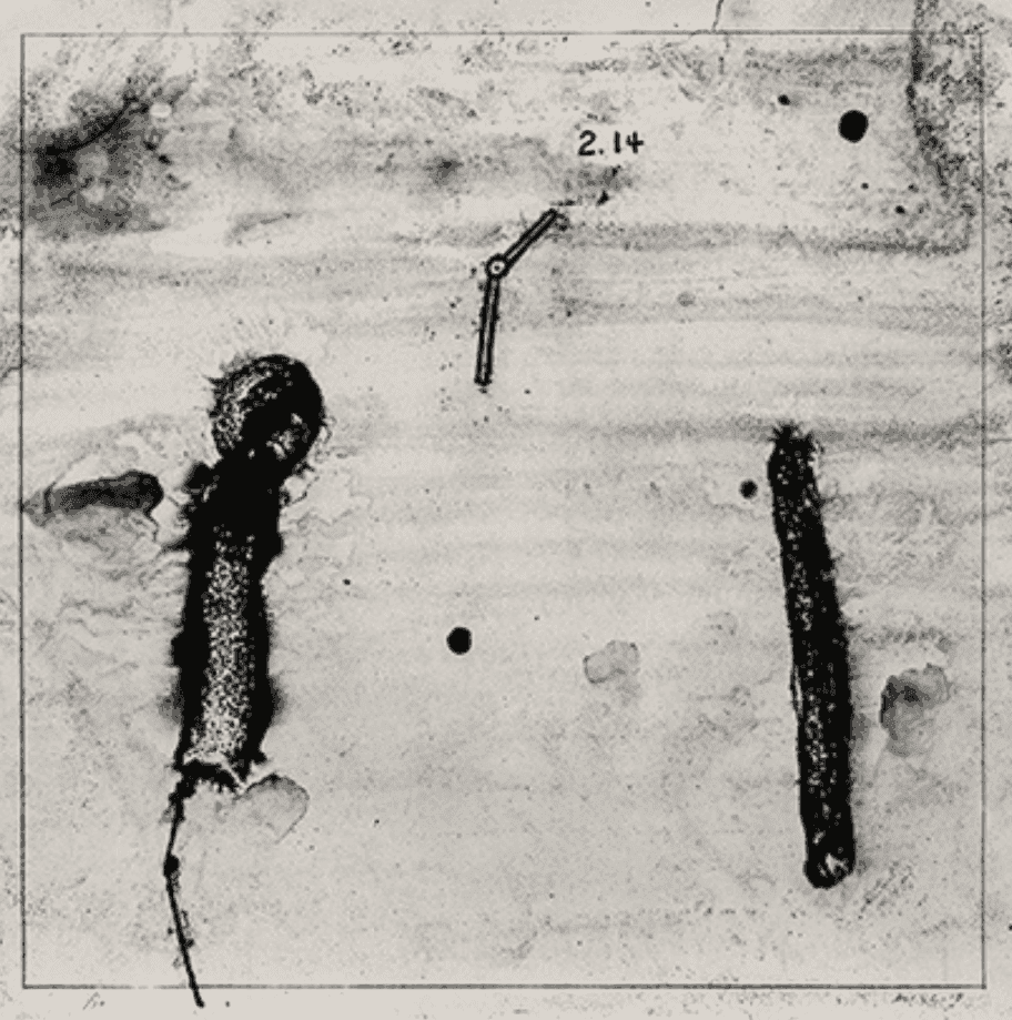 David Lynch, ‘2.14’, 2015, Print, Lithographie, null, Numbered