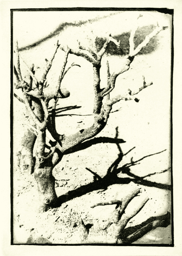 David Lynch, ‘Untitled #12’, 1999, Print, Photogravure, Tandem Press, 
