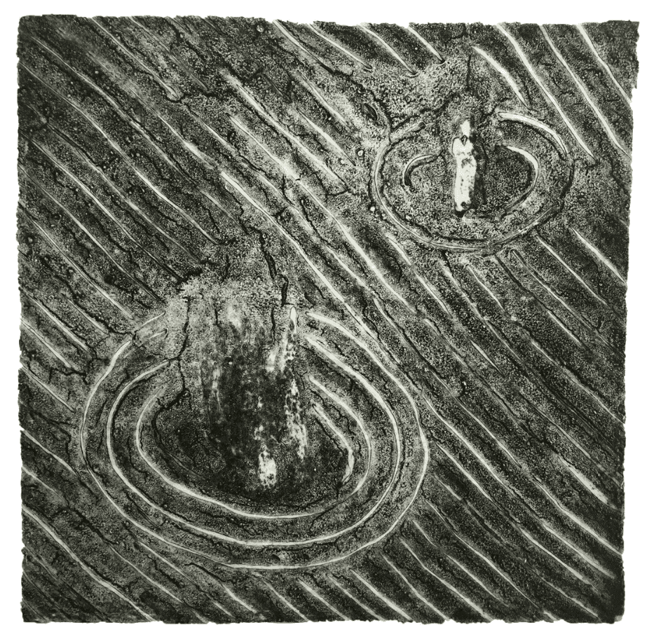 David Lynch, ‘Untitled (2 Light)’, 1999, Print, Collograph, Tandem Press, 