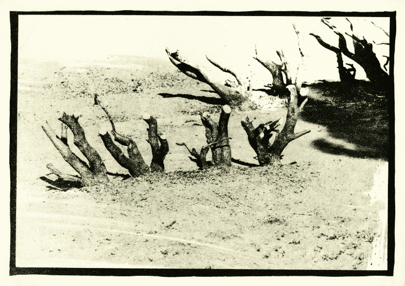 David Lynch, ‘Untitled #4’, 1999, Print, Photogravure, Tandem Press, 