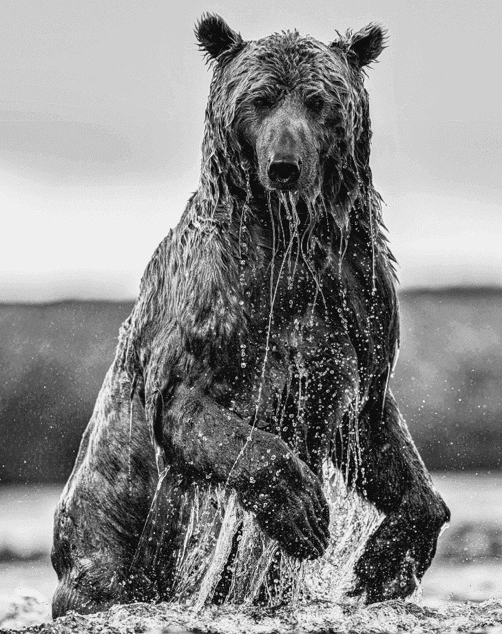 David Yarrow, ‘Backcountry’, 2025, Print, Archival Pigment Print, null, 