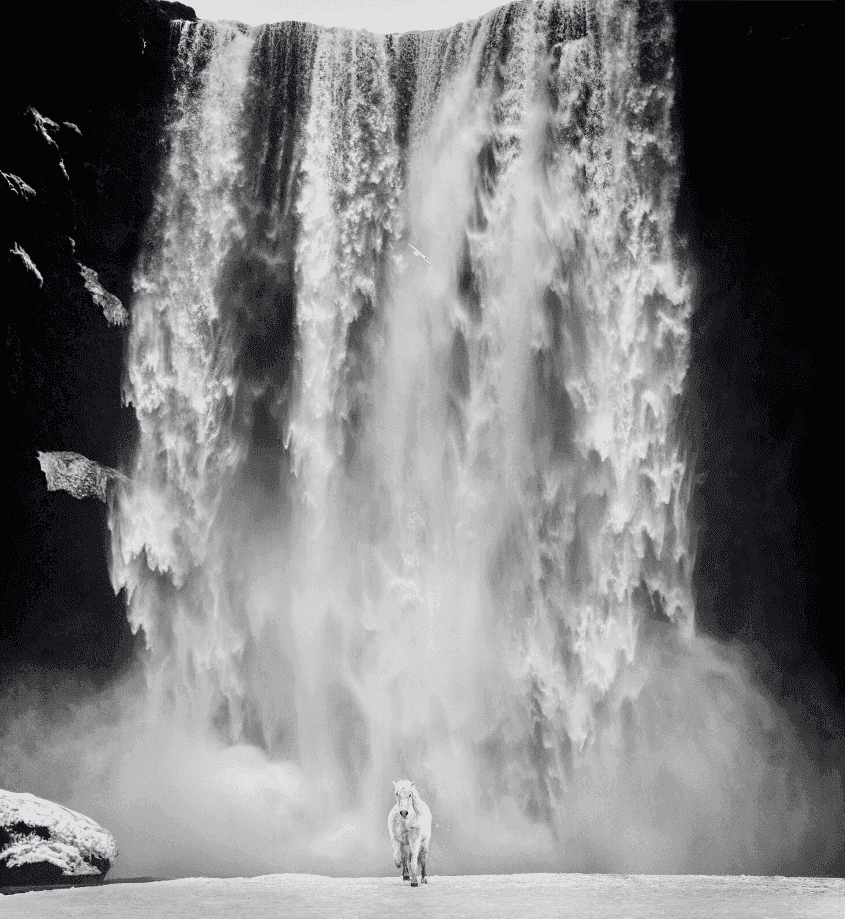 David Yarrow, ‘Norse’, 2022, Print, Archival Pigment Print, null, 