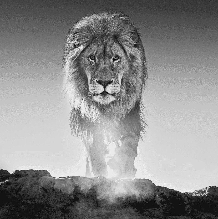 David Yarrow, ‘Old Testament’, 2017, Print, Archival Pigment Print, null, 