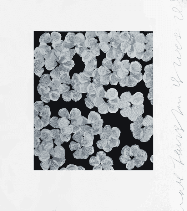 Donald Sultan, ‘Wallflower 10’, 2008, Print, Screenprint on paper, null, Numbered