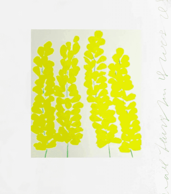 Donald Sultan, ‘Wallflower 24’, 2008, Print, Screenprint on paper, null, Numbered