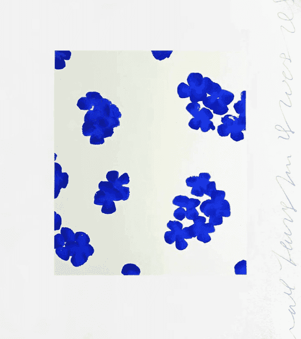 Donald Sultan, ‘Wallflower 5’, 2008, Print, Screenprint on paper, null, Numbered