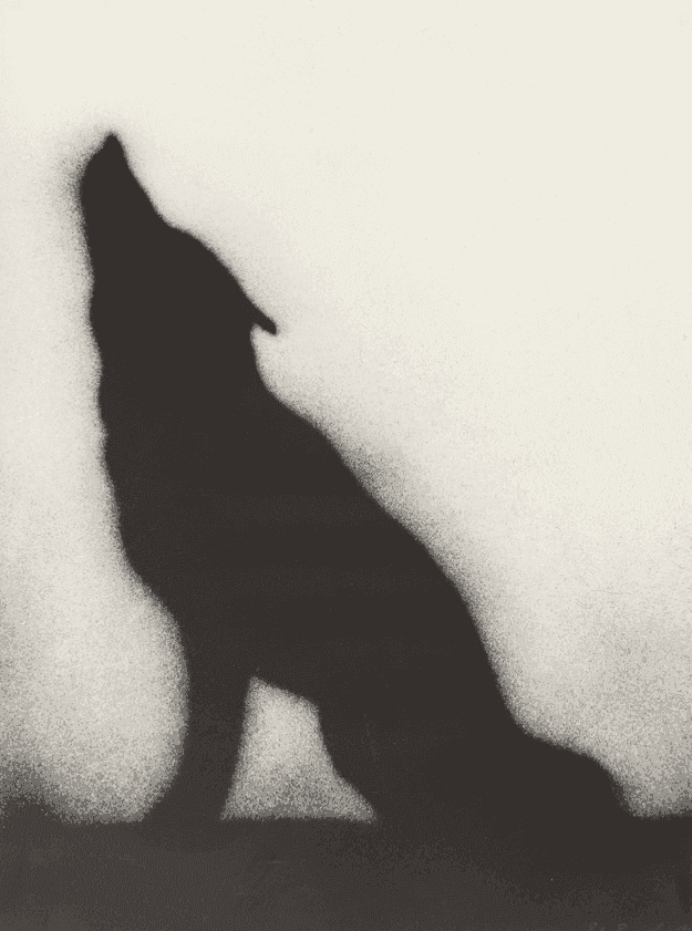 Ed Ruscha, ‘Coyote’, 1989, Print, Lithograph, null, Numbered, Dated