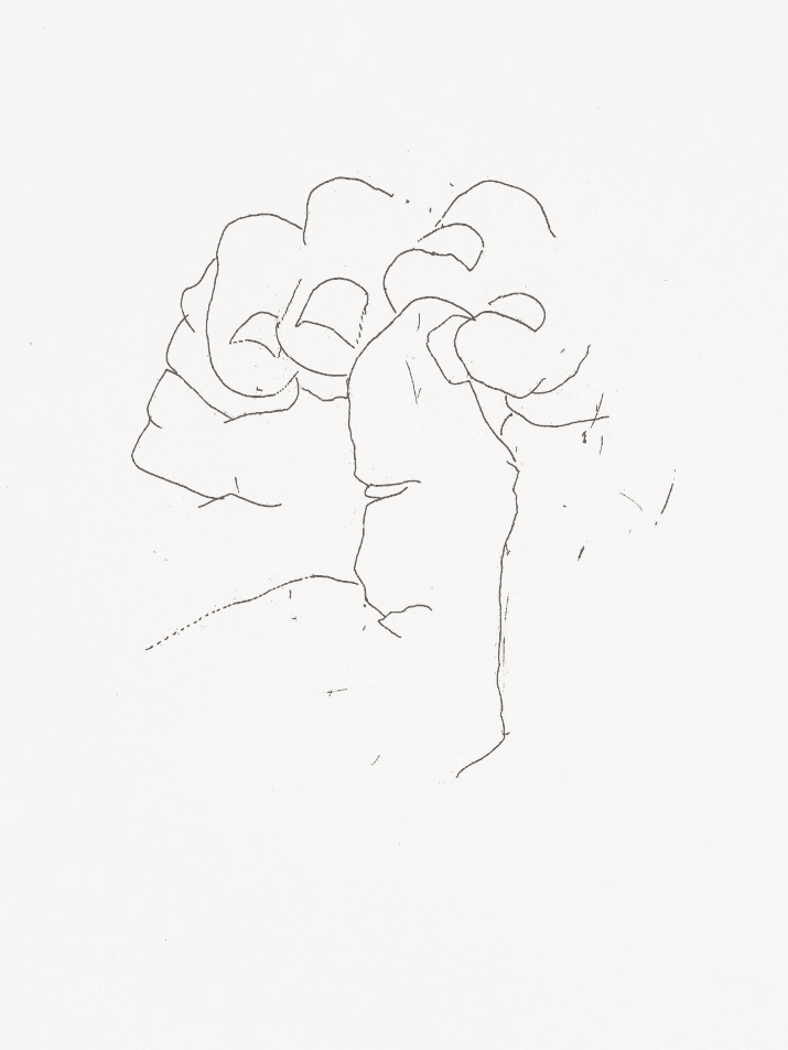 Eduardo Chillida, ‘Adoración’, 1977, Print, The book, comprising plate II, published,